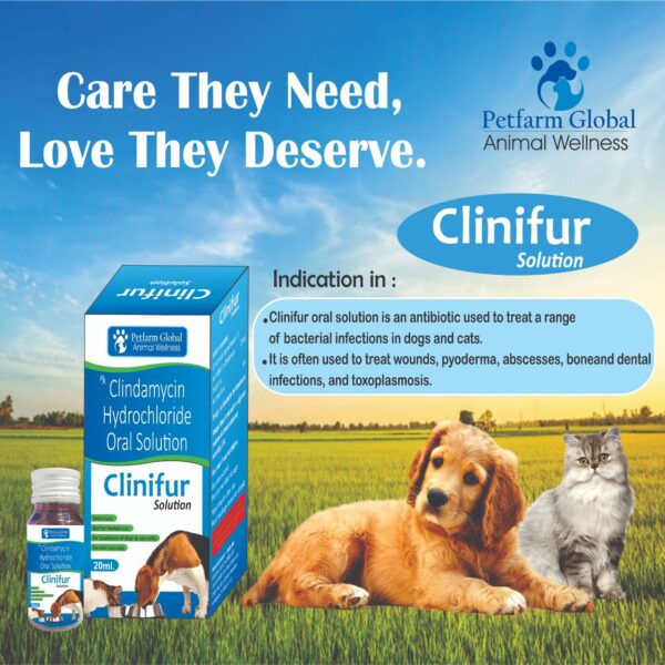 Clinifur oral solution