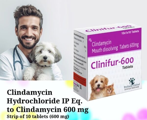 CLINIFUR-600 SECOND IMAGE