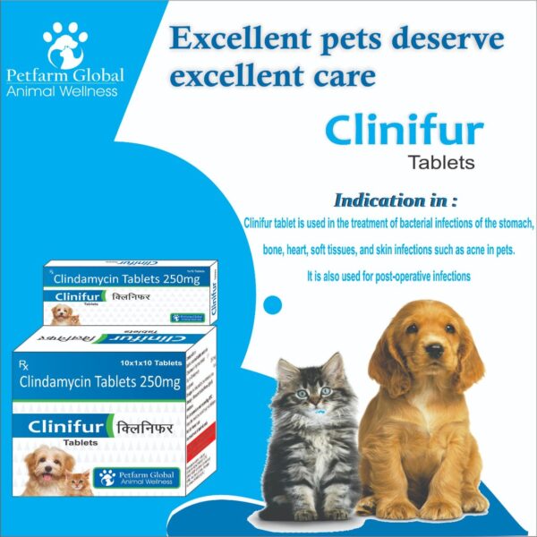 Clinifur Tablets 250 mg