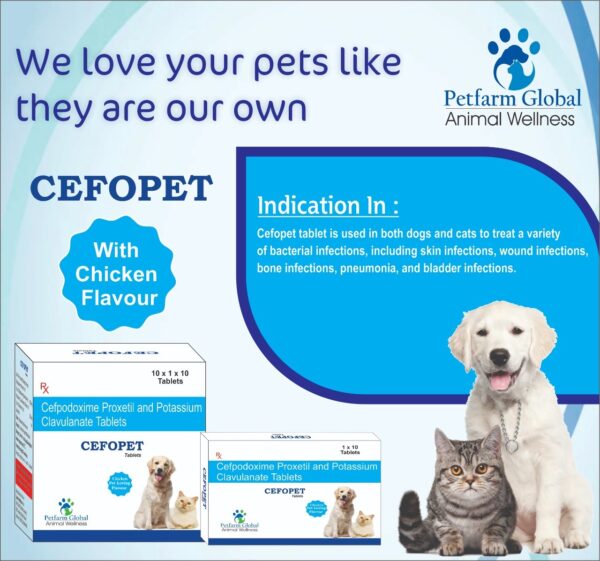 Cefopet Tablets