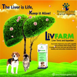 LivFarm Liver Tonic and Appetizer