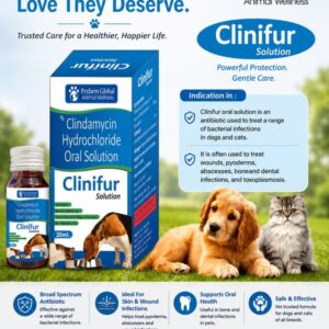 CLINIFUR SOLUTION