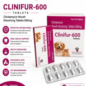 Clinifur Tablets 250 mg