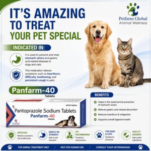 Panfarm-40 Tablets