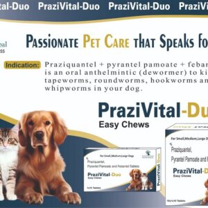 .PRAZIVITAL-DUO TAB